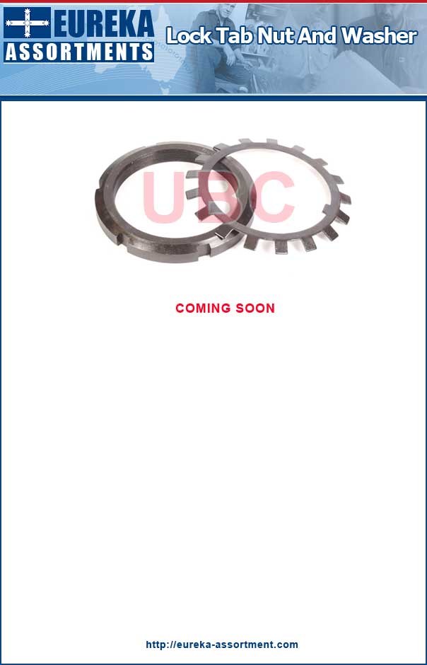 Lock Tab Nut and Washer kit eureka assortments